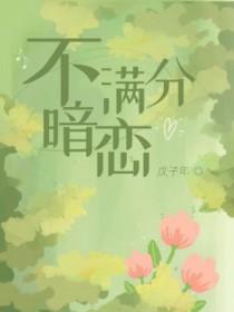 不满分暗恋 不满分暗恋