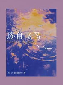 逐食飞鸟 逐食飞鸟
