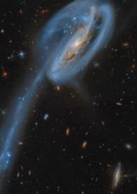 仿生人他只想做爱 仿生人他只想做爱