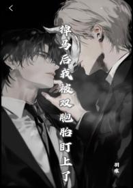 掉马后我被双胞胎盯上了(兄弟丼) 掉马后我被双胞胎盯上了(兄弟丼)