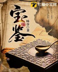 宝鉴 宝鉴